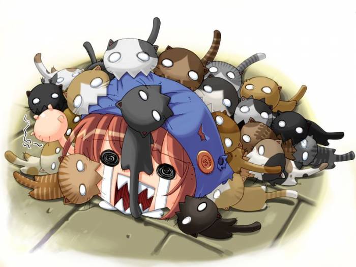 neko .jpg